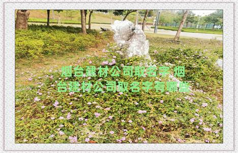 烟台建材公司取名字 烟台建材公司取名字有哪些